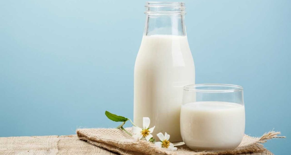 Bahaya Minum Susu Bagi Kesehatan