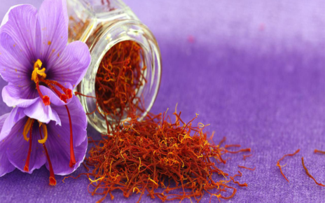 5 Manfaat Saffron untuk Kesehatan, Bunga Mahal yang Berkhasiat